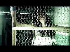 বাথরুমে ও বোনের ঘরে সেক্স ভিডিও এইচডি 2019 ক্যামেরা লাগিয়ে তার শীতল শরীর থেকে উচু হয়ে যায়।